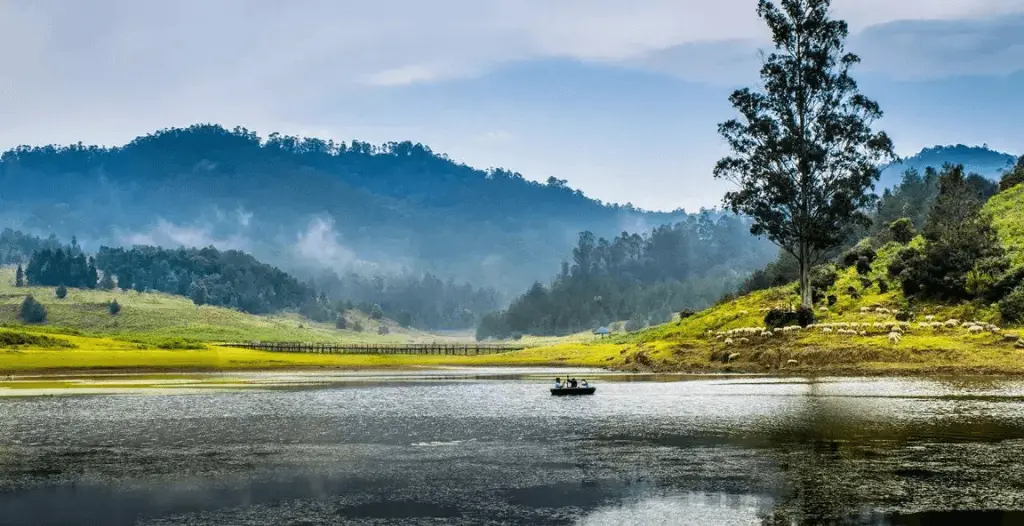 An image showing kodaikanal-lake